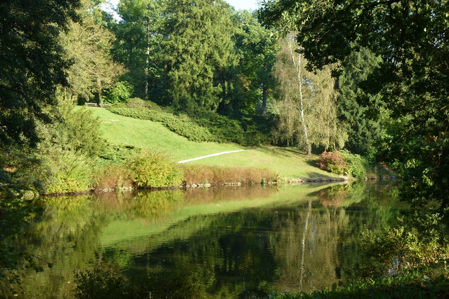 Rybník Dalberg